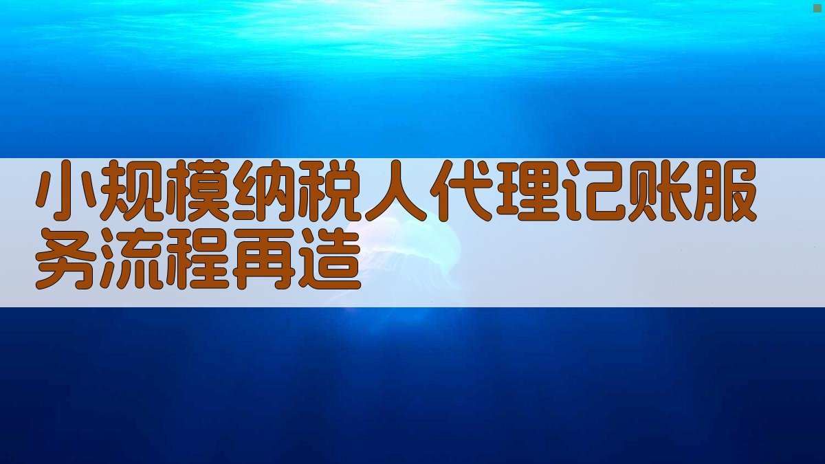 小规模纳税人代理记账服务流程再造 图3