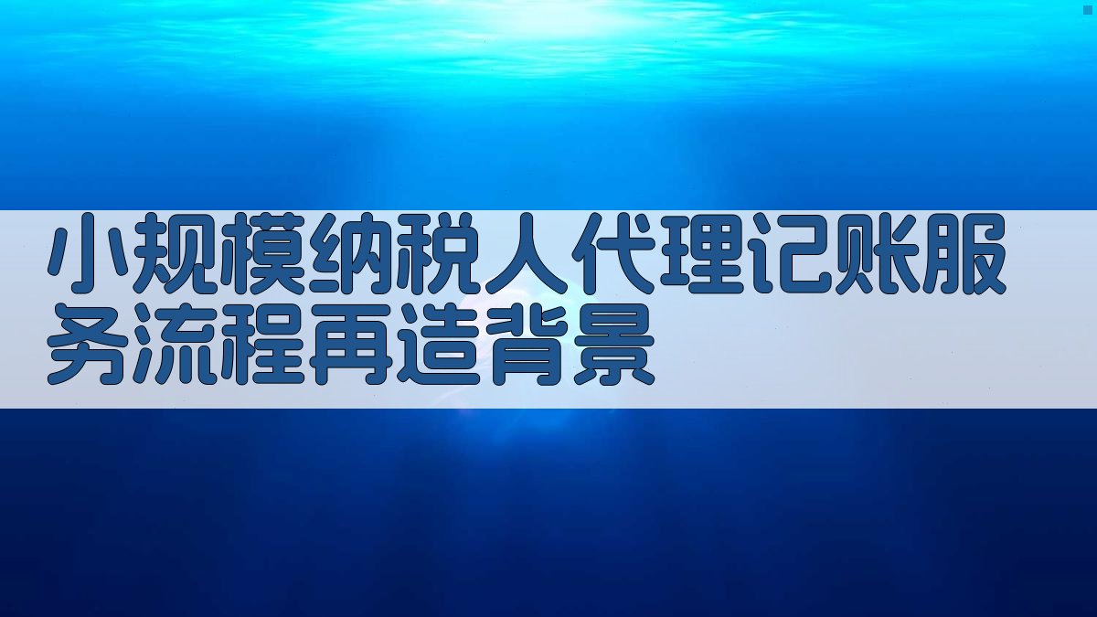 小规模纳税人代理记账服务流程再造背景 图1