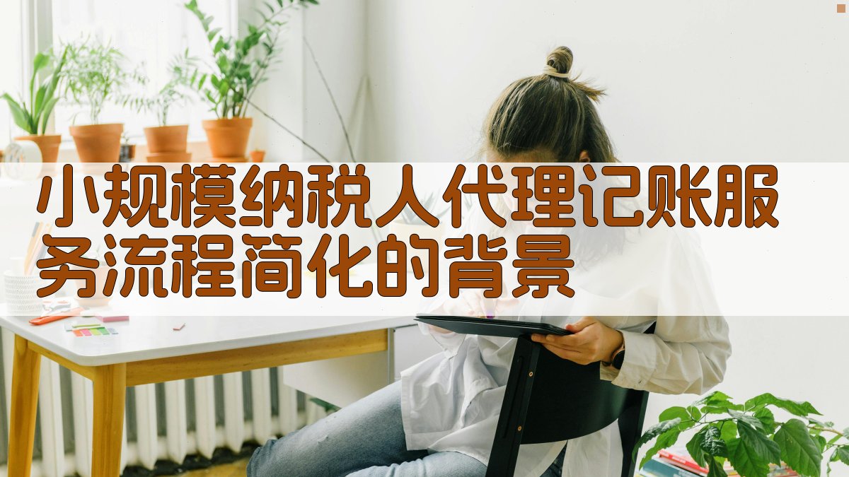 小规模纳税人代理记账服务流程简化的背景 图1
