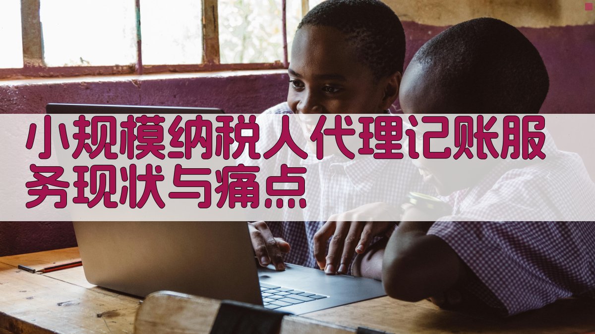小规模纳税人代理记账服务现状与痛点 图1