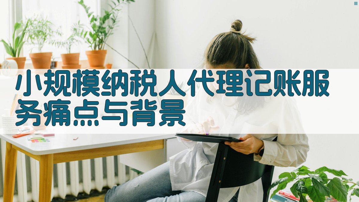小规模纳税人代理记账服务痛点与背景 图1