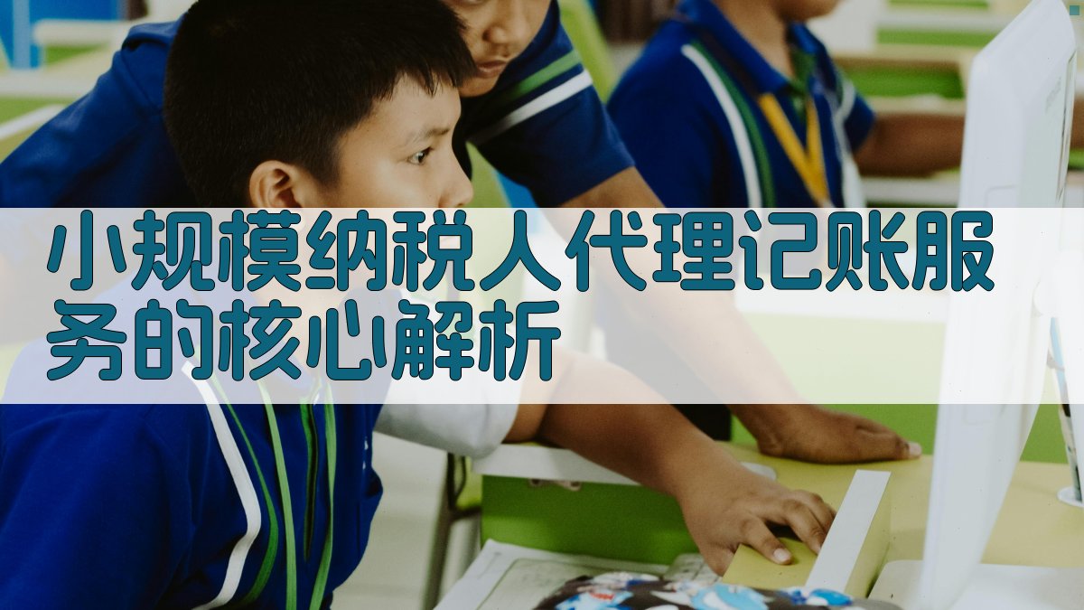 小规模纳税人代理记账服务的核心解析 图2