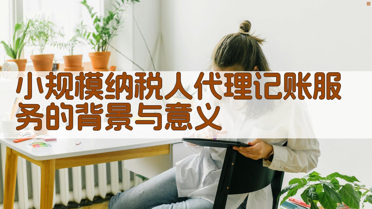 小规模纳税人代理记账服务的背景与意义 图1