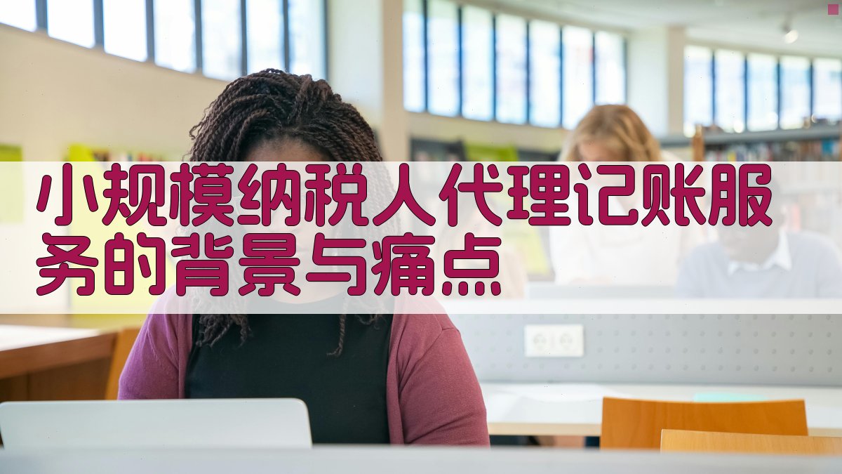 小规模纳税人代理记账服务的背景与痛点 图1