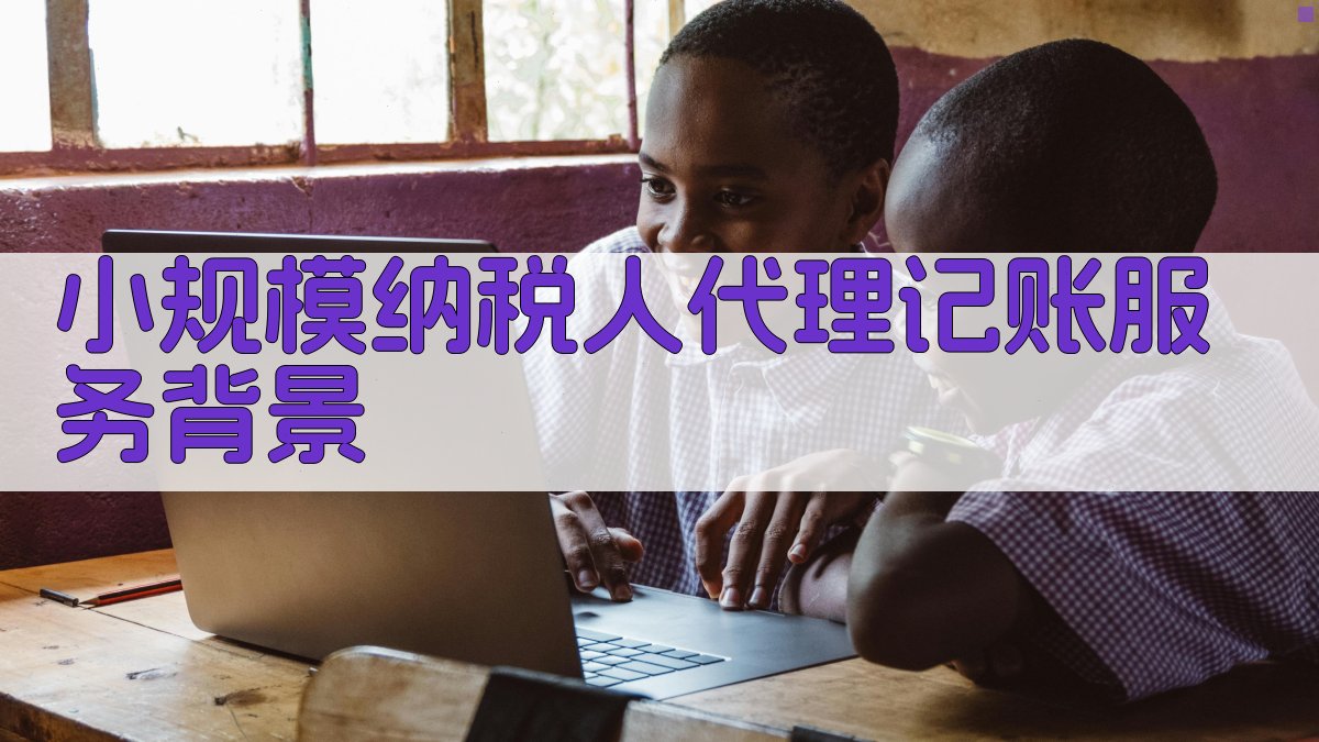 小规模纳税人代理记账服务背景 图1