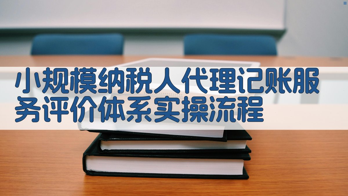 小规模纳税人代理记账服务评价体系实操流程 图3