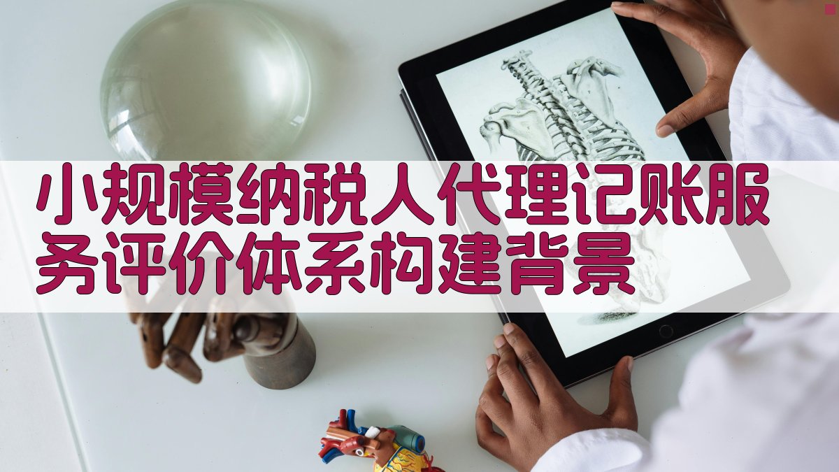 小规模纳税人代理记账服务评价体系构建背景 图1