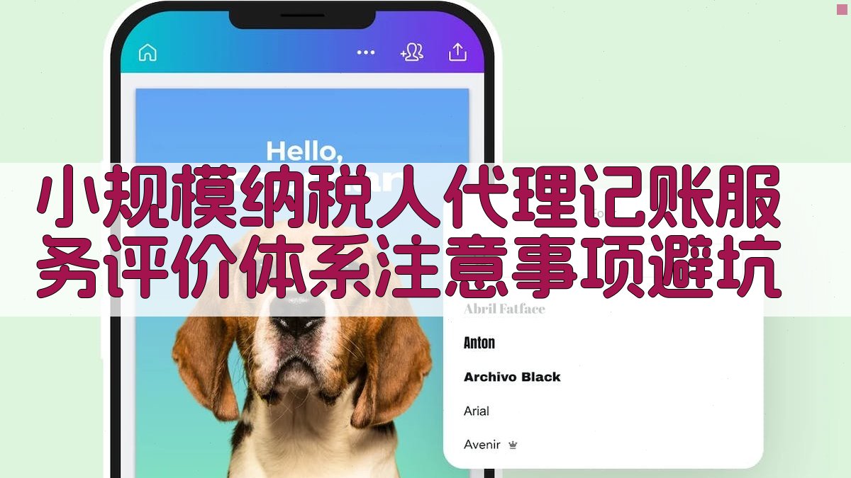 小规模纳税人代理记账服务评价体系注意事项/避坑 图4