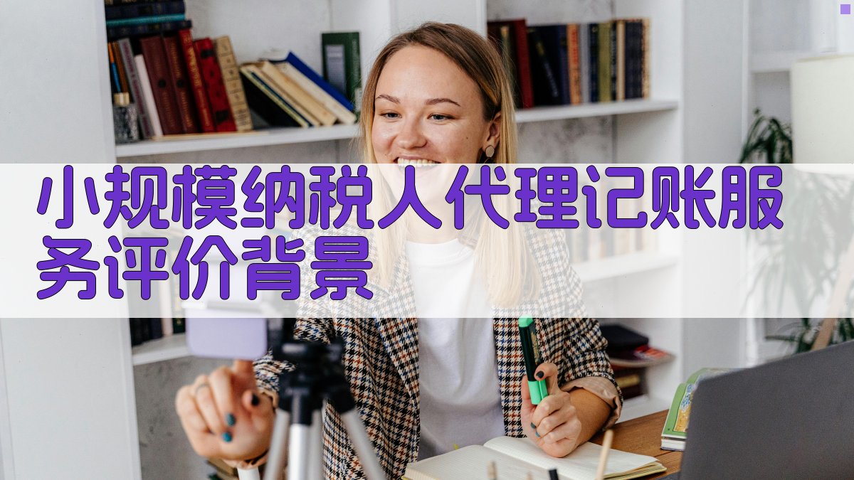 小规模纳税人代理记账服务评价背景 图1
