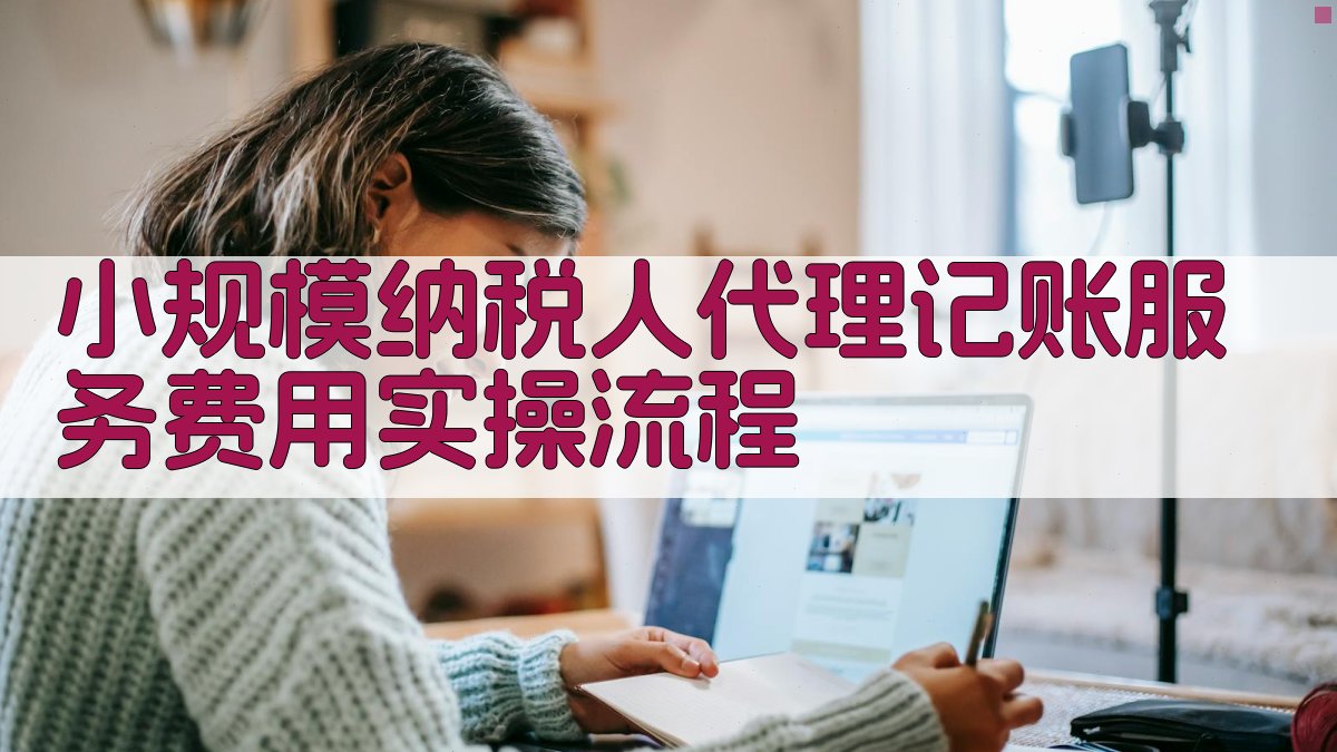 小规模纳税人代理记账服务费用实操流程 图1