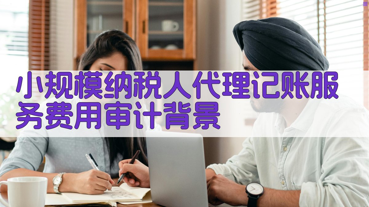 小规模纳税人代理记账服务费用审计背景 图1