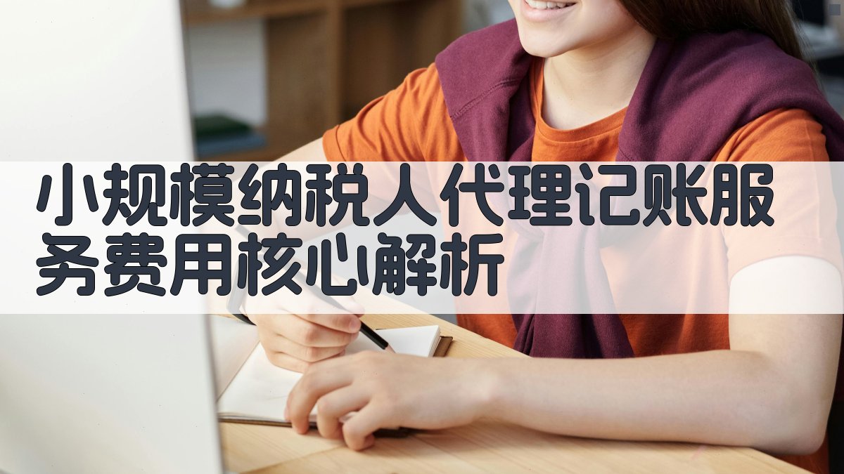小规模纳税人代理记账服务费用核心解析 图2