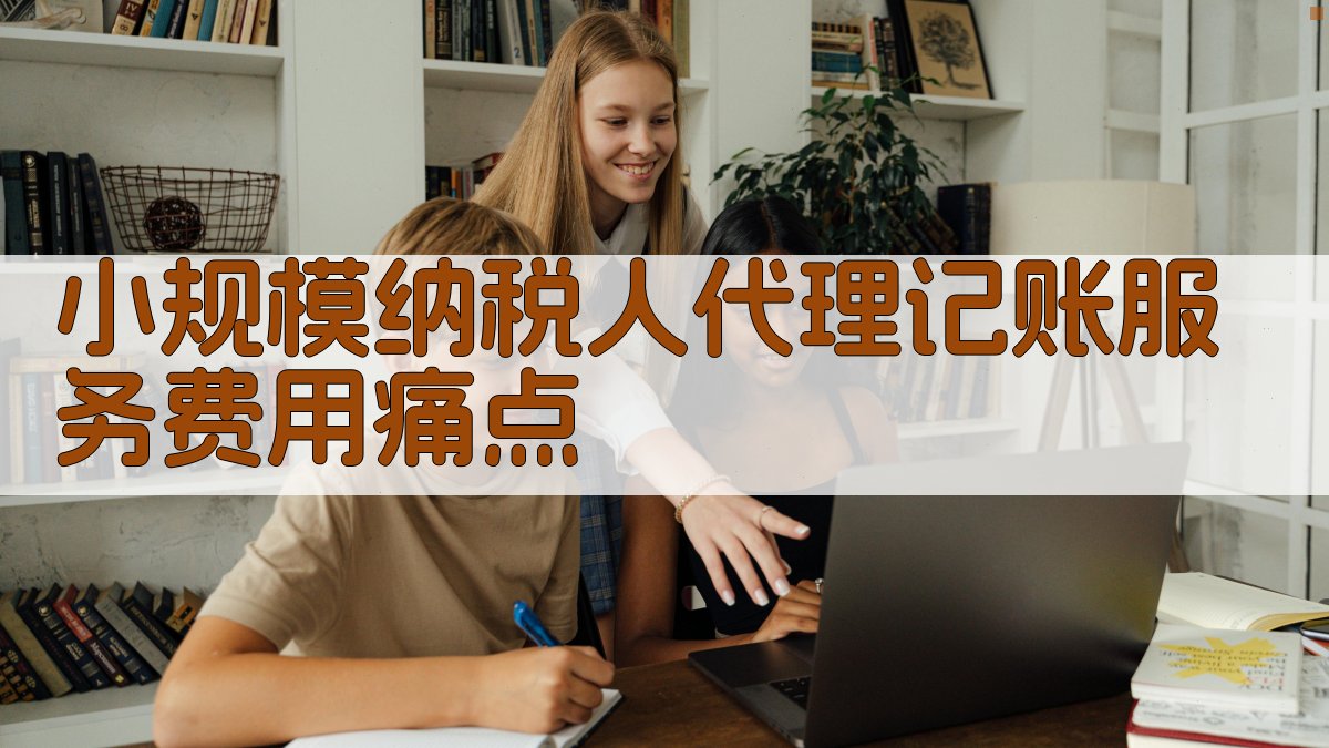 小规模纳税人代理记账服务费用痛点 图1
