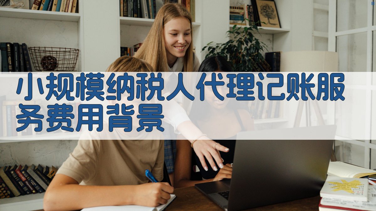 小规模纳税人代理记账服务费用背景 图1