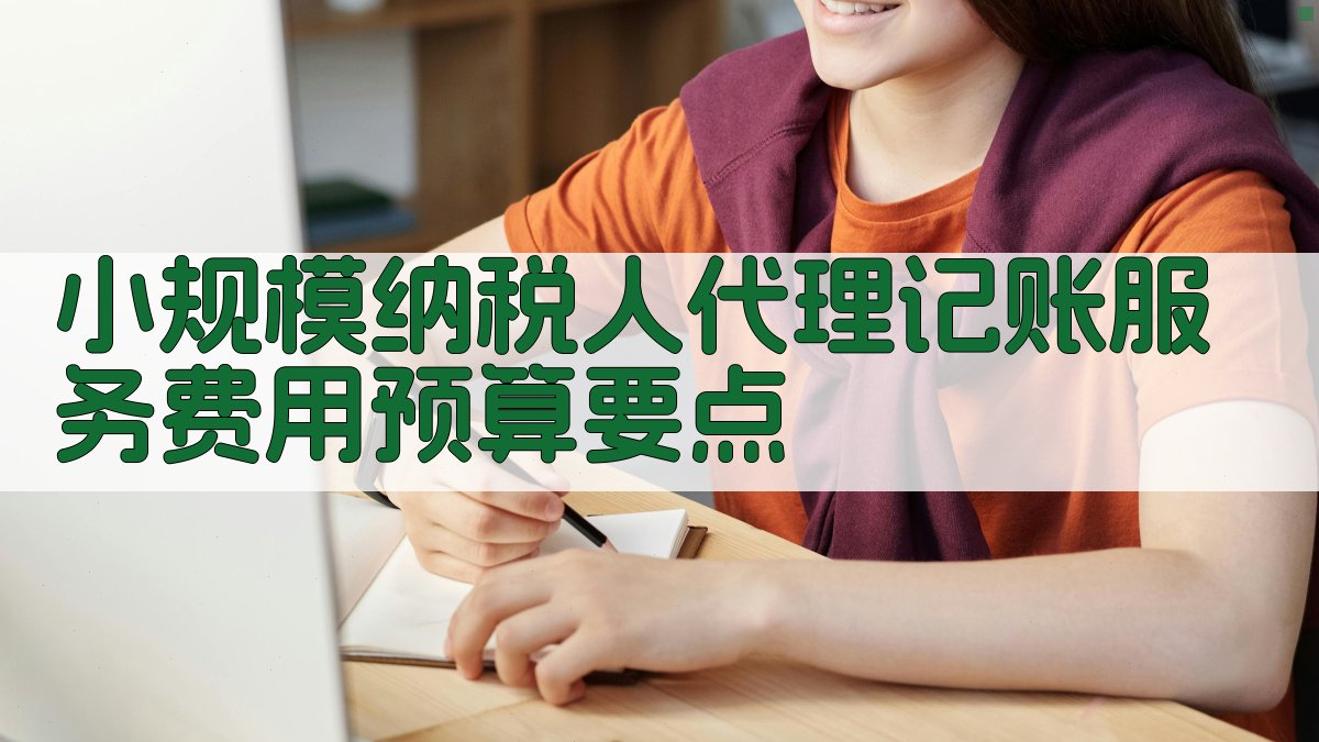 小规模纳税人代理记账服务费用预算要点 图2