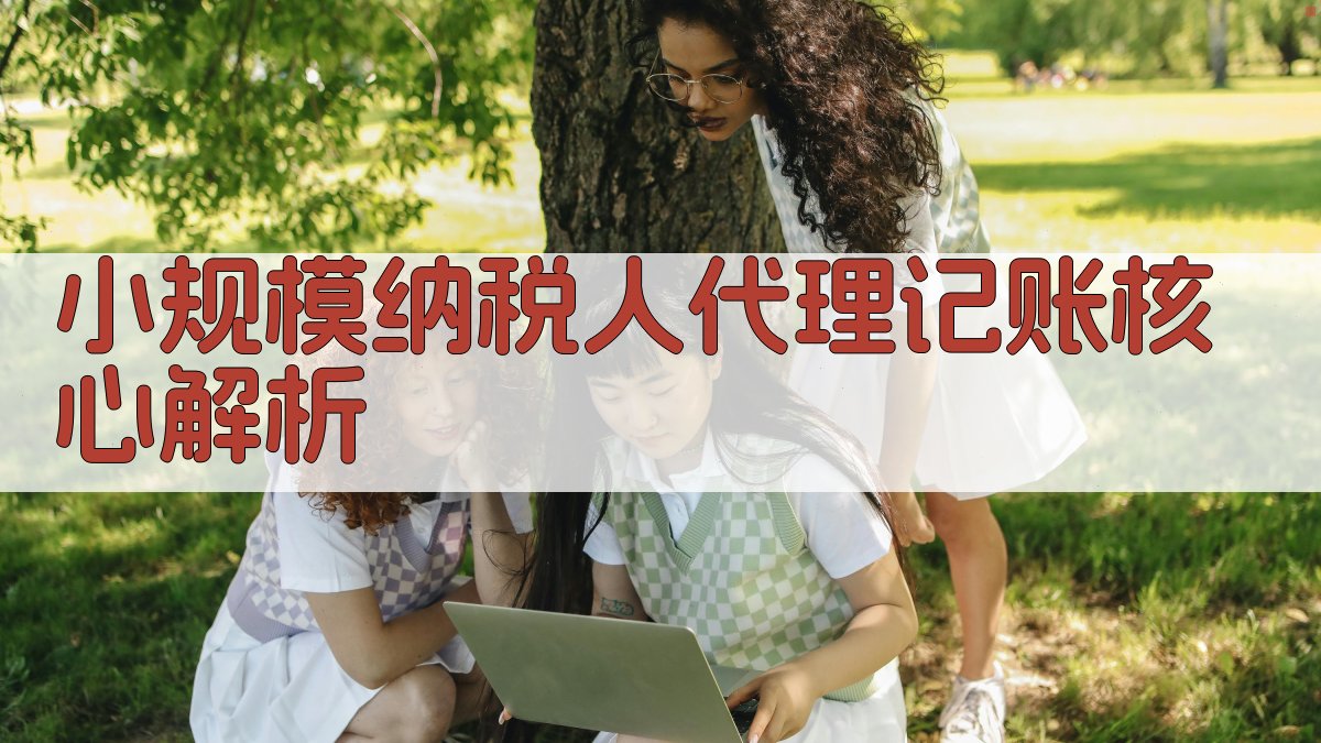 小规模纳税人代理记账核心解析 图2