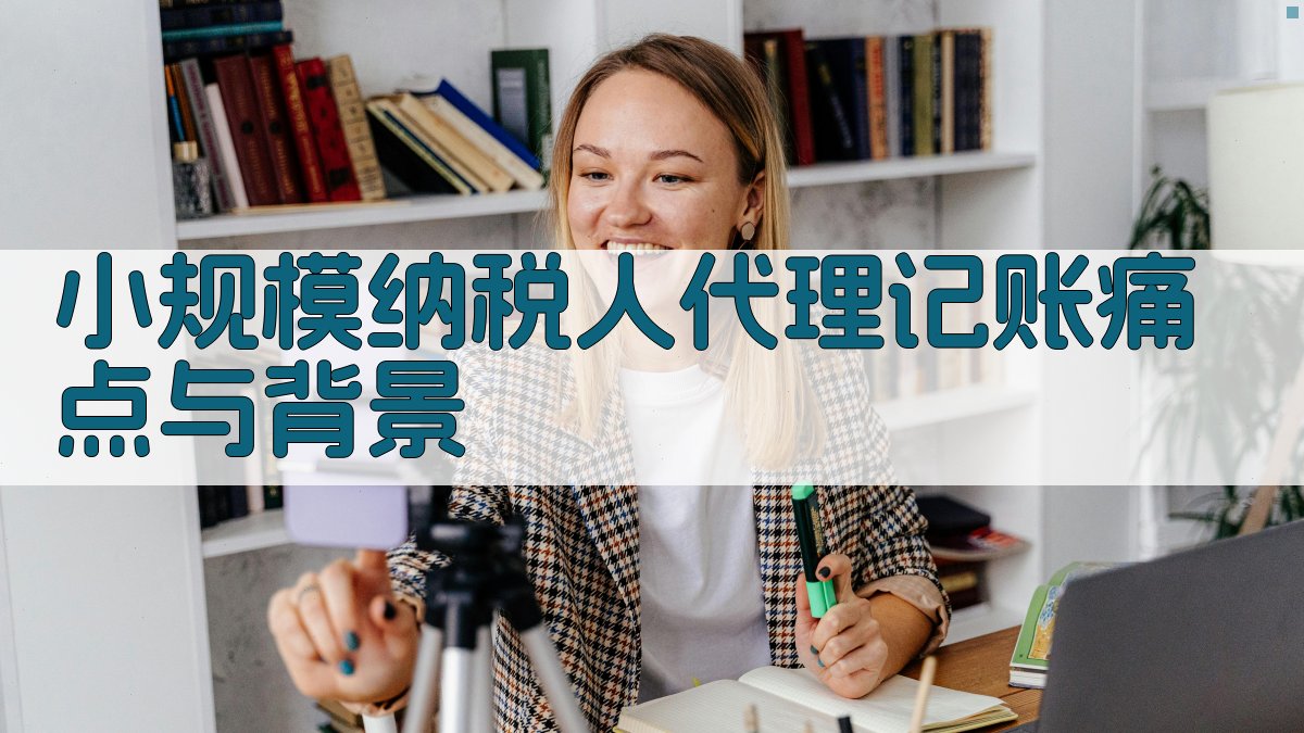 小规模纳税人代理记账痛点与背景 图1