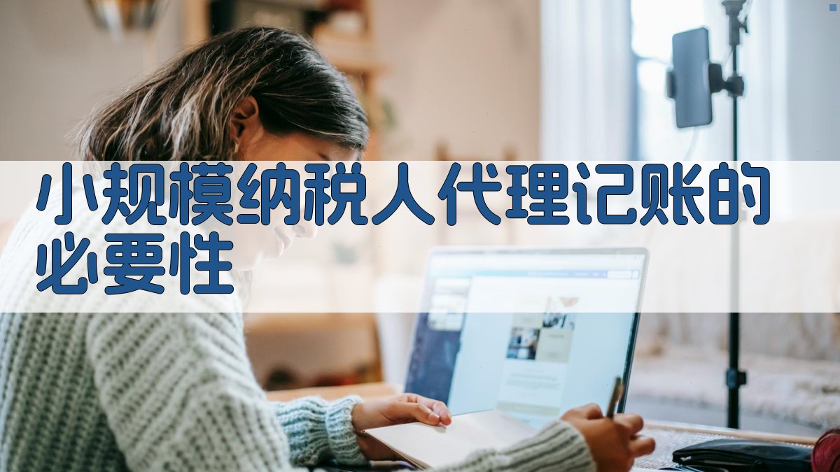 小规模纳税人代理记账的必要性 图1