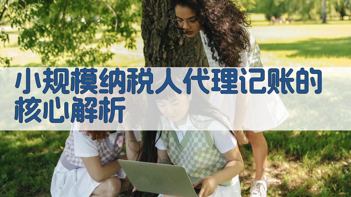 小规模纳税人代理记账的核心解析 图2