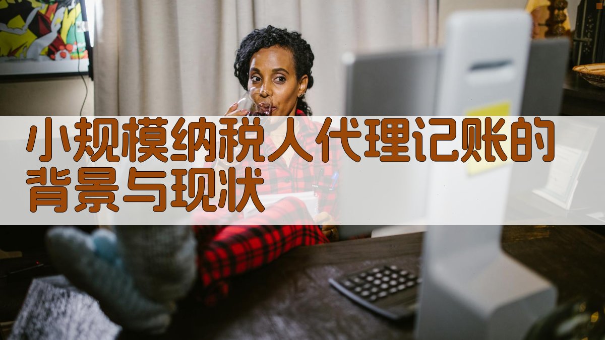 小规模纳税人代理记账的背景与现状 图1