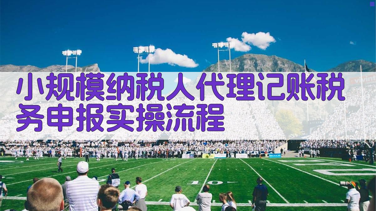 小规模纳税人代理记账税务申报实操流程 图2