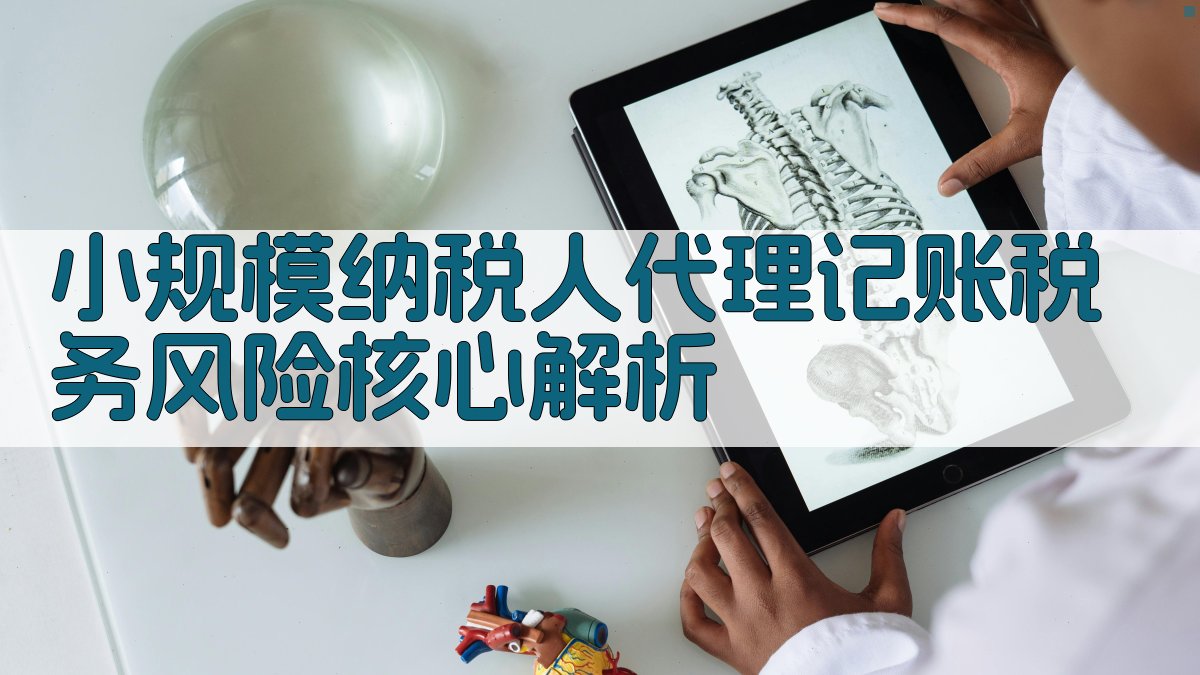 小规模纳税人代理记账税务风险核心解析 图1