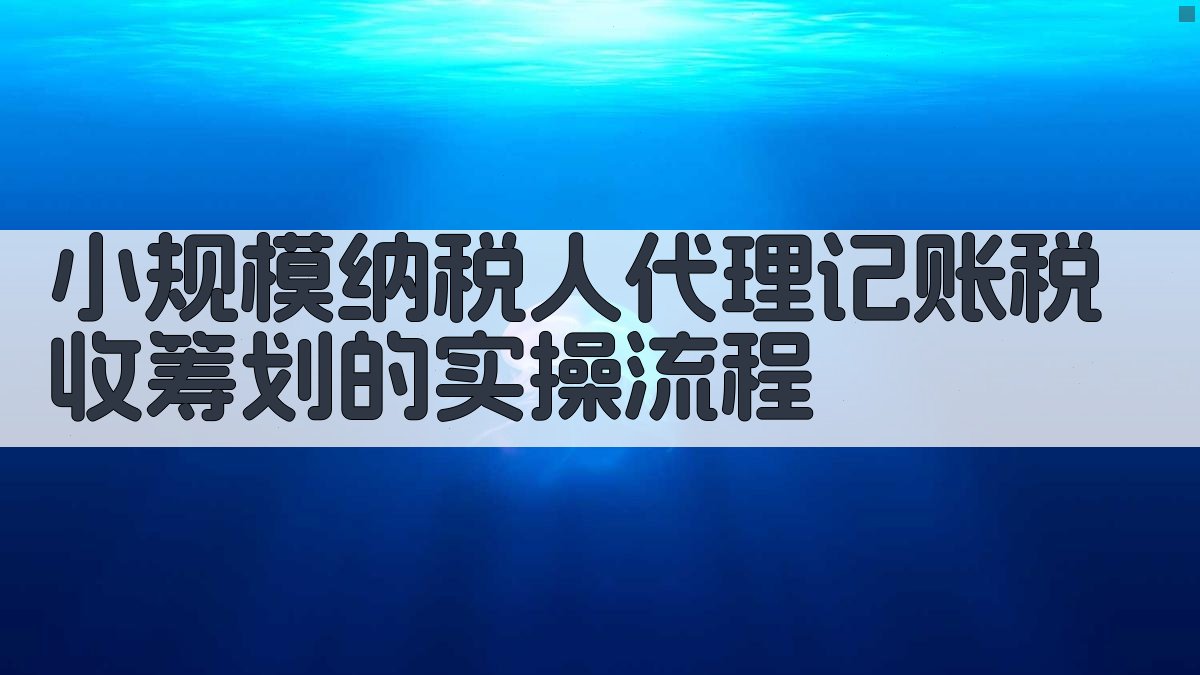 小规模纳税人代理记账税收筹划的实操流程 图3