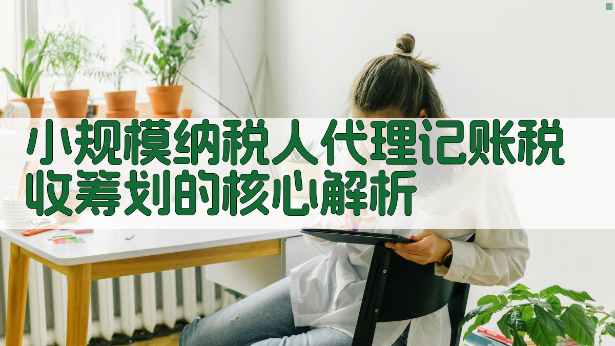 小规模纳税人代理记账税收筹划的核心解析 图2