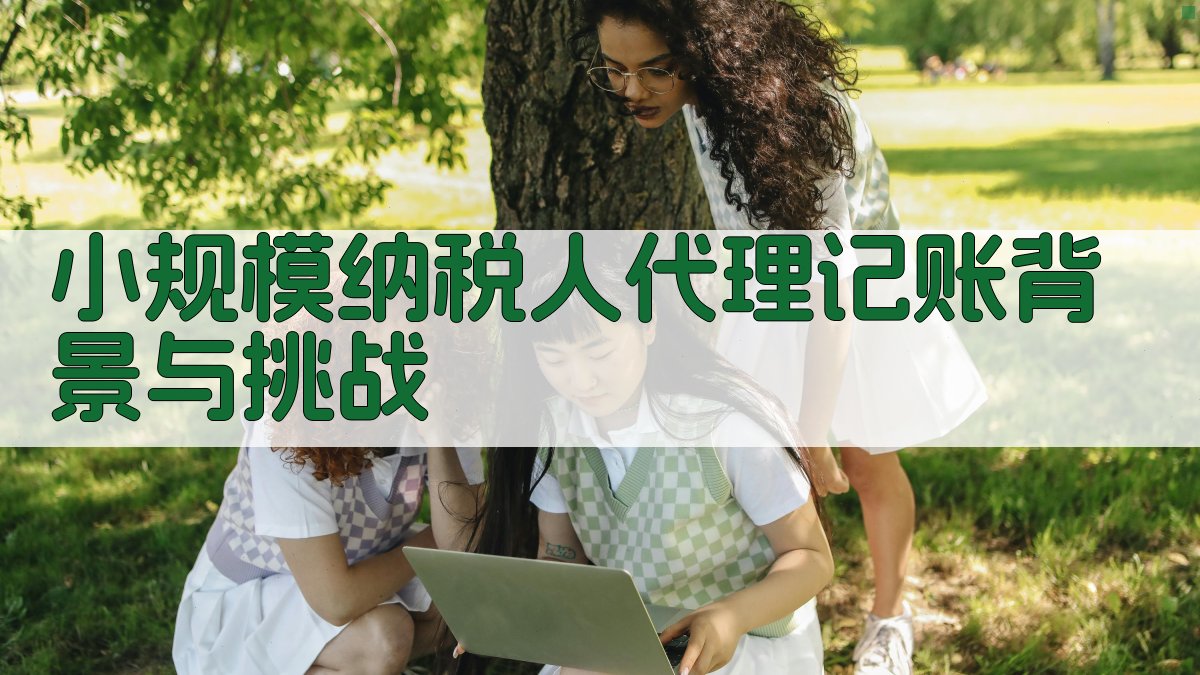 小规模纳税人代理记账背景与挑战 图1