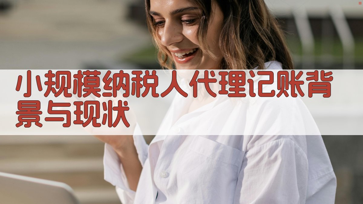 小规模纳税人代理记账背景与现状 图1