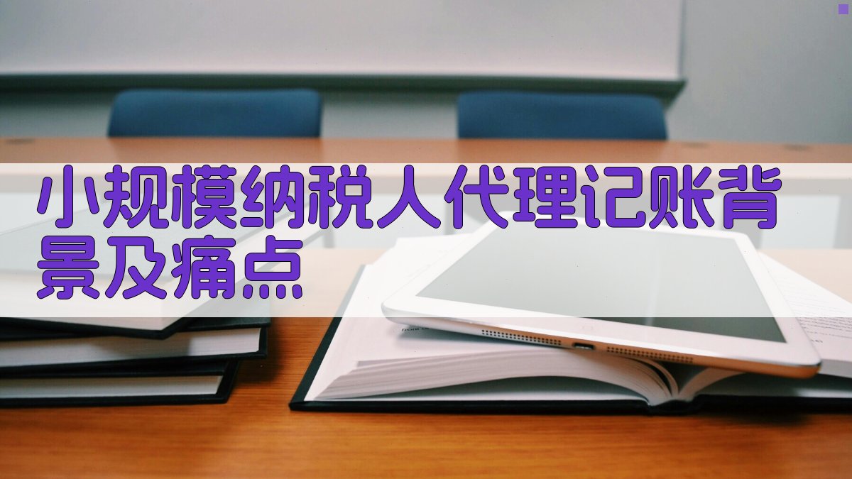 小规模纳税人代理记账背景及痛点 图1