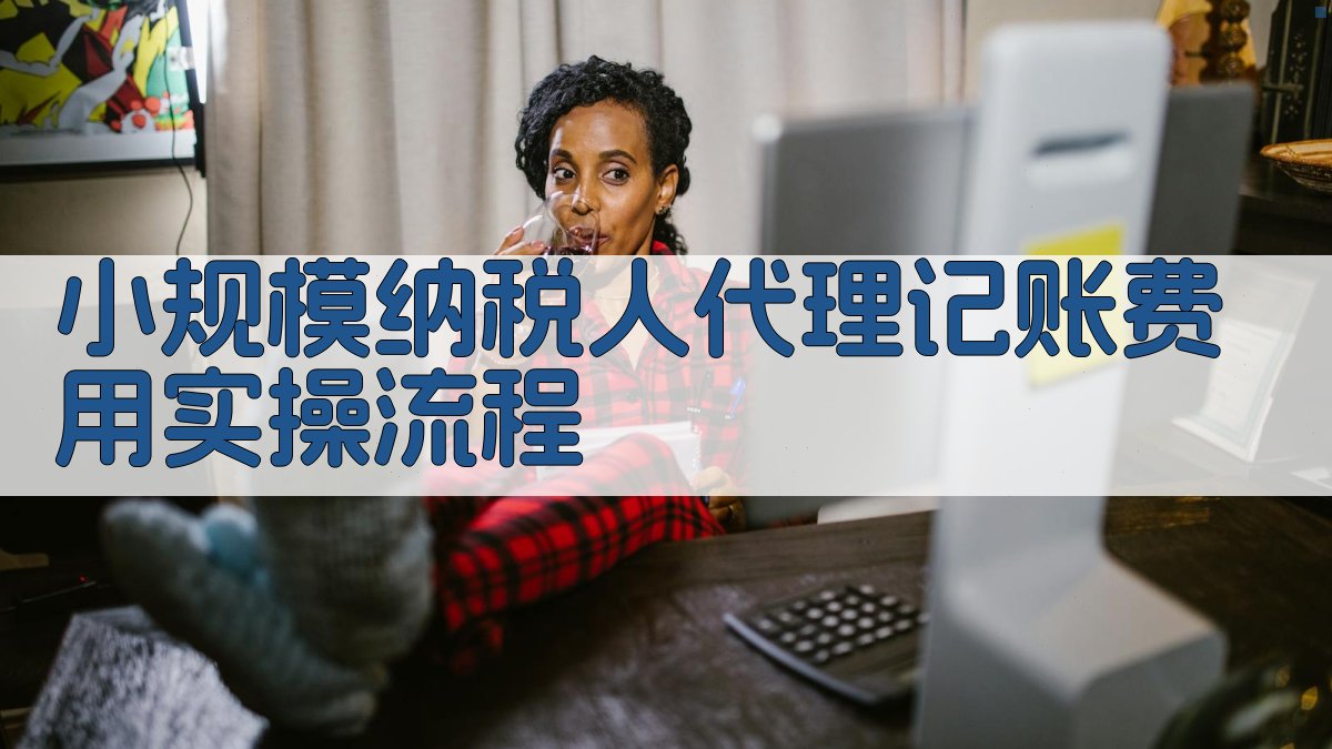 小规模纳税人代理记账费用实操流程 图3