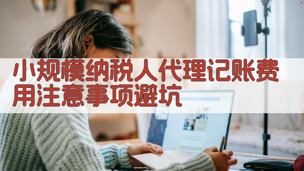 小规模纳税人代理记账费用注意事项/避坑 图4