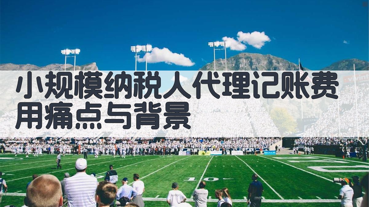 小规模纳税人代理记账费用痛点与背景 图1