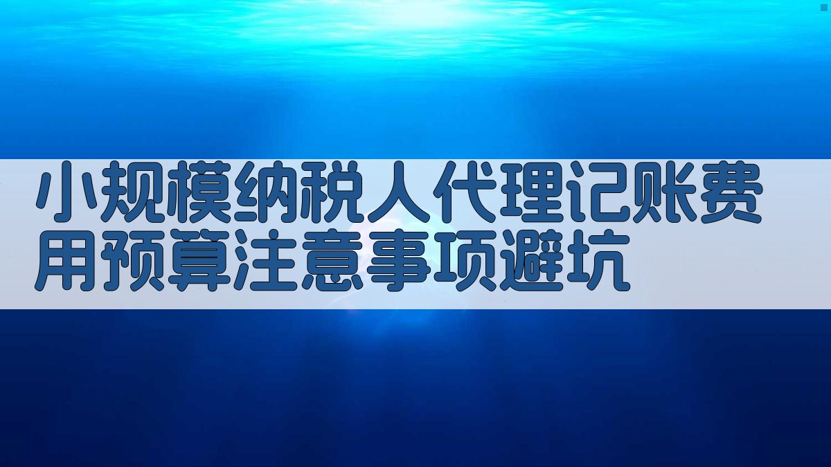 小规模纳税人代理记账费用预算注意事项/避坑 图2