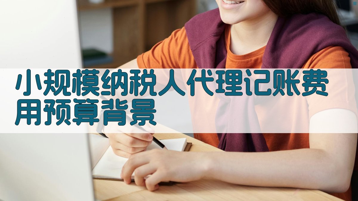 小规模纳税人代理记账费用预算背景 图1