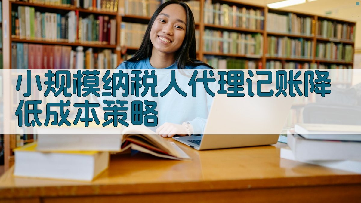 小规模纳税人代理记账降低成本策略 图2