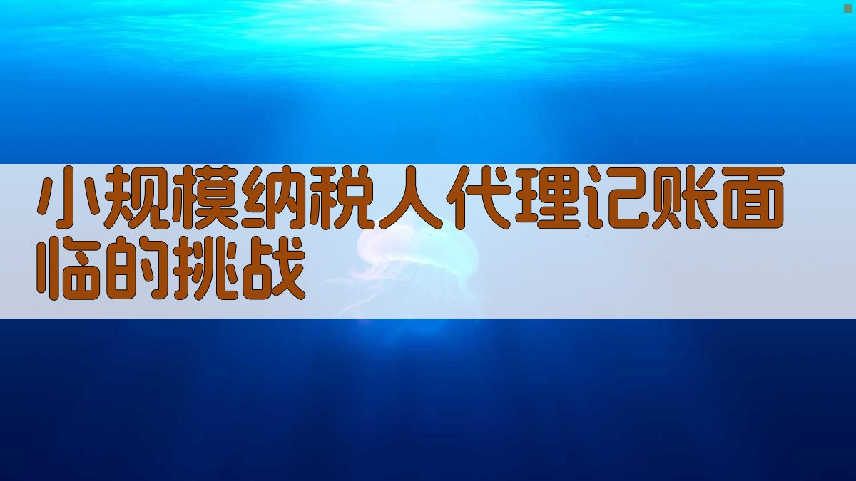 小规模纳税人代理记账面临的挑战 图1