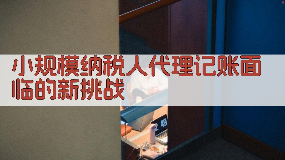 小规模纳税人代理记账面临的新挑战 图1