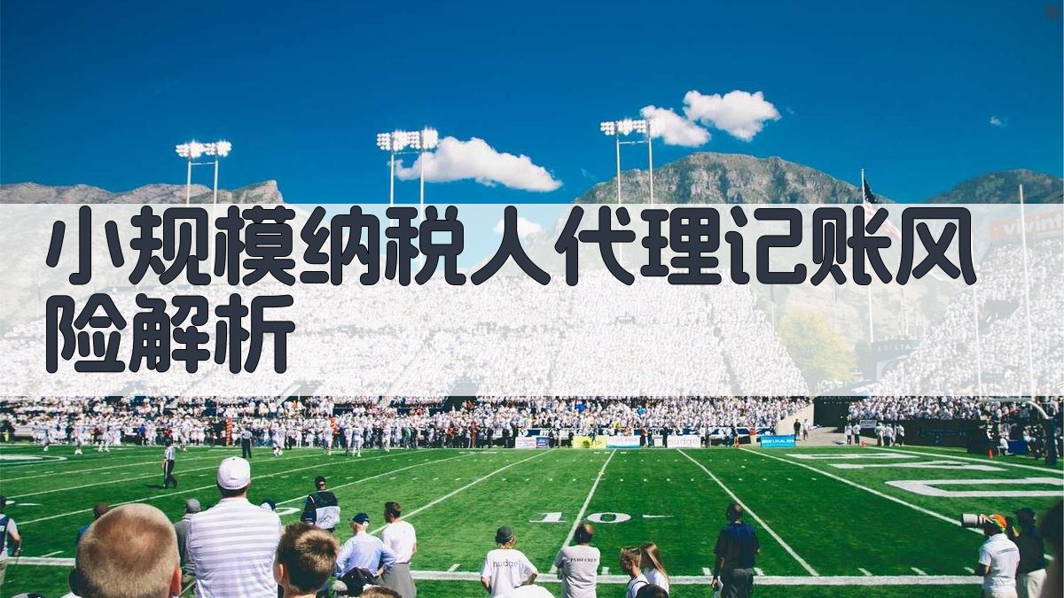 小规模纳税人代理记账风险解析 图1