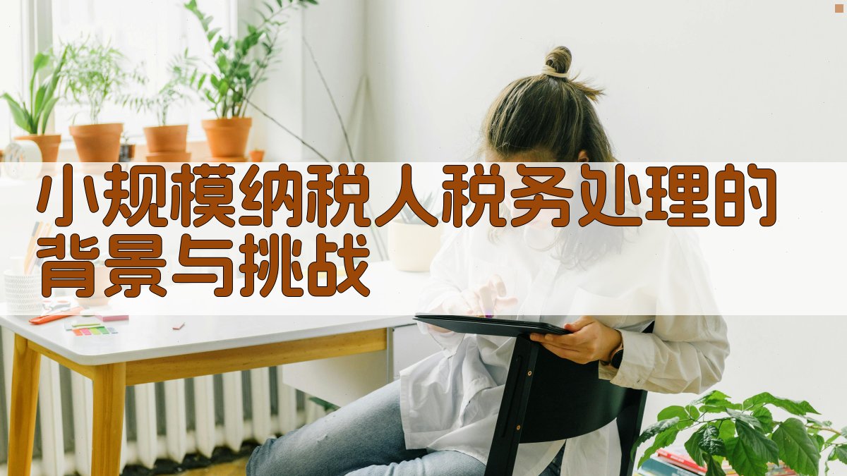 小规模纳税人税务处理的背景与挑战 图1