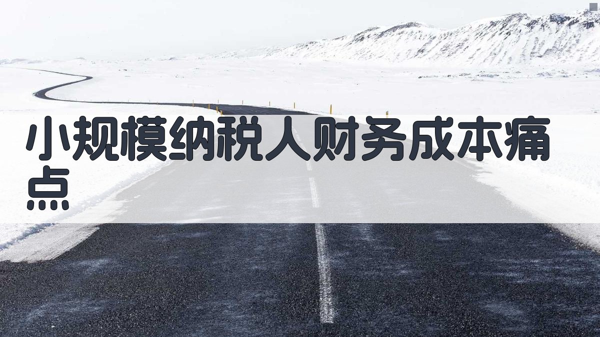 小规模纳税人财务成本痛点 图1