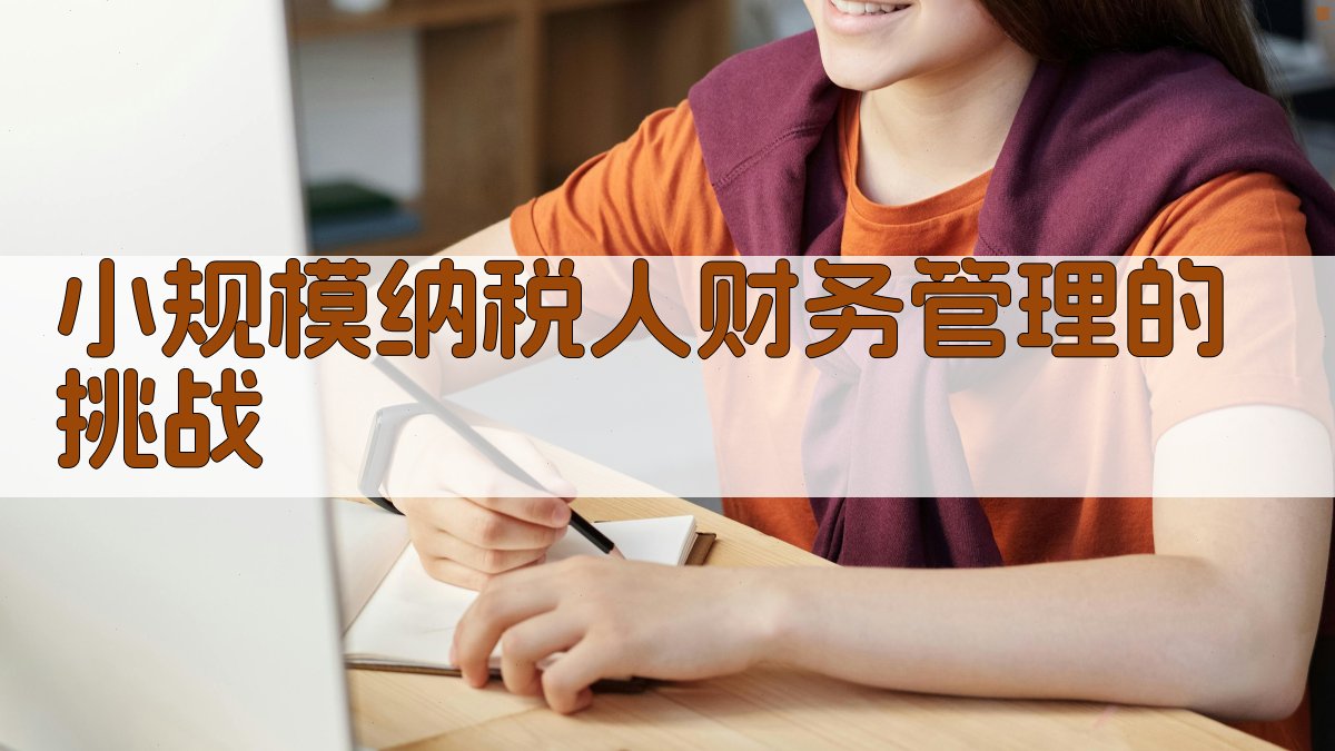 小规模纳税人财务管理的挑战 图1