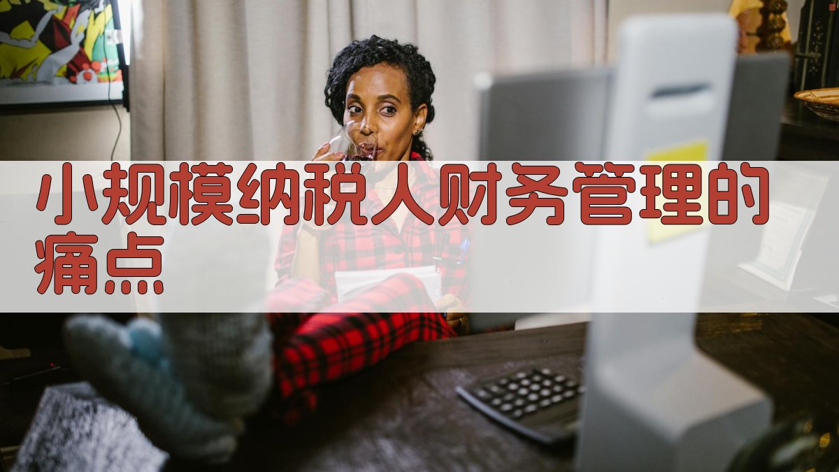 小规模纳税人财务管理的痛点 图1