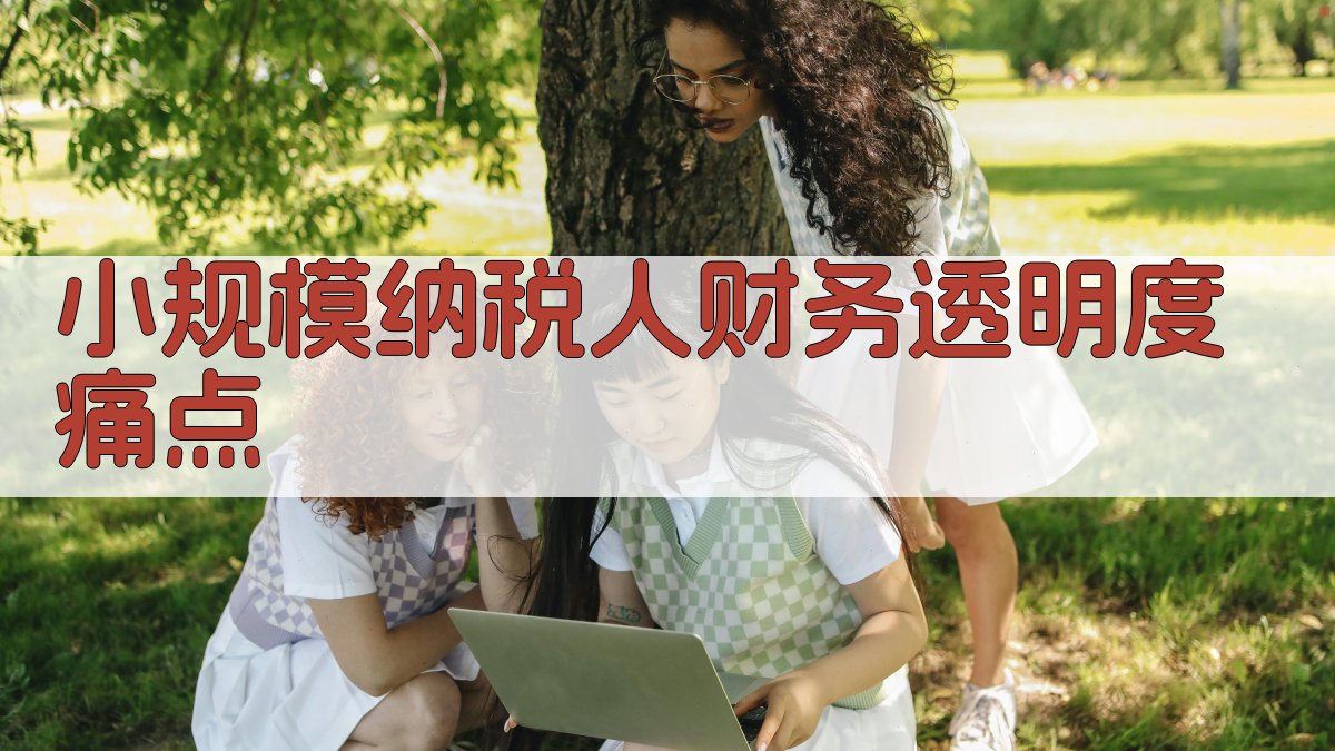 小规模纳税人财务透明度痛点 图1
