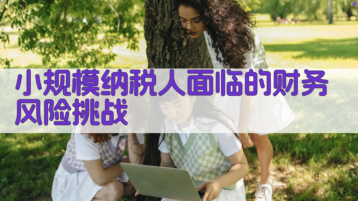 小规模纳税人面临的财务风险挑战 图1