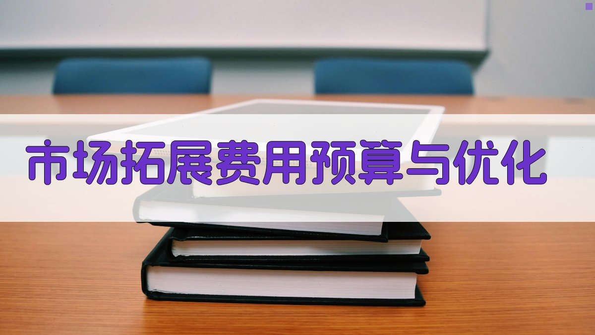 市场拓展费用预算与优化 图5