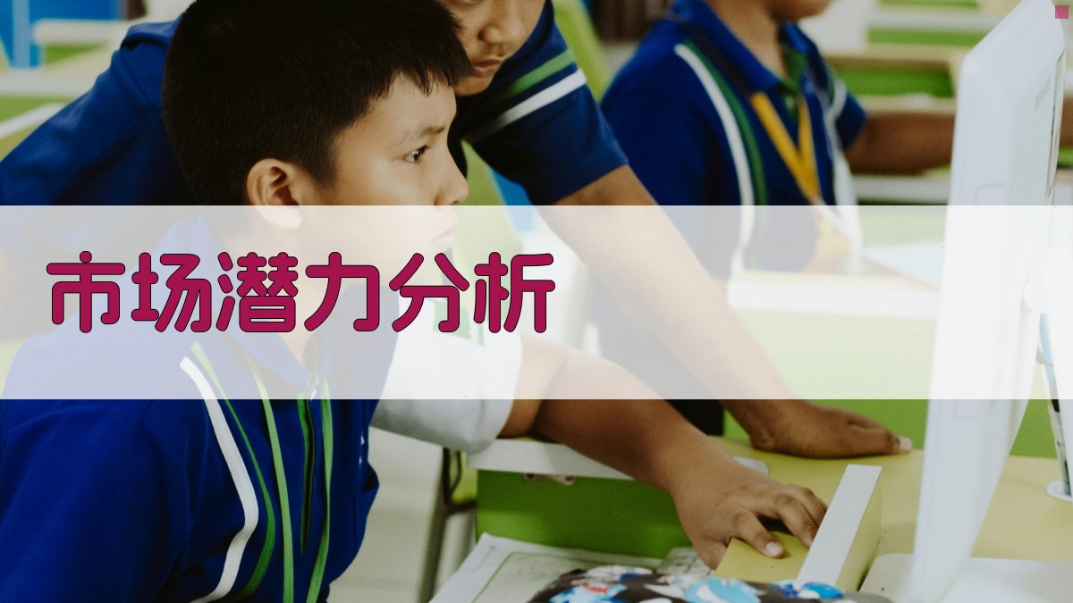 市场潜力分析 图2