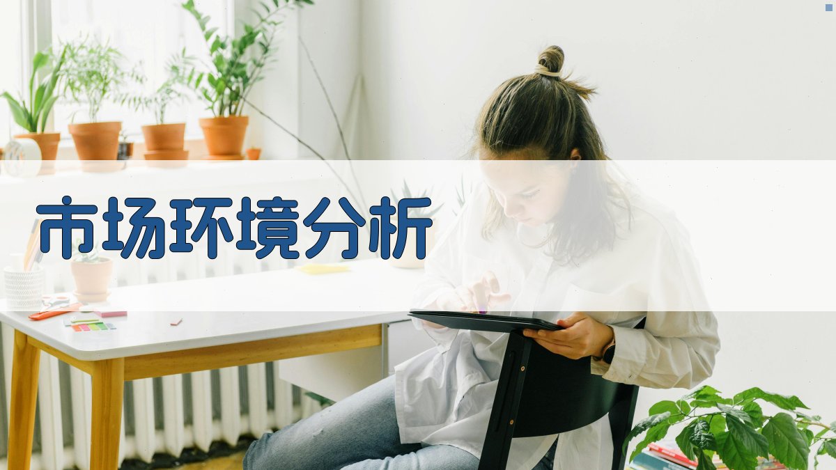 市场环境分析 图2