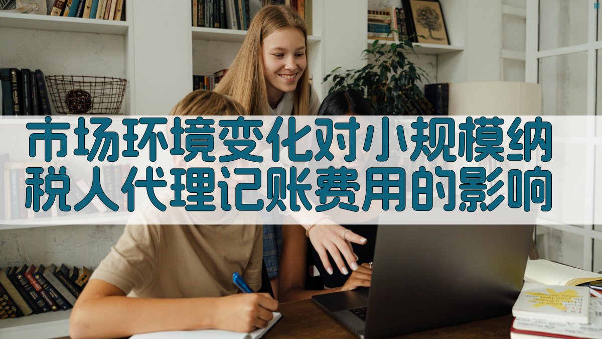 市场环境变化对小规模纳税人代理记账费用的影响 图2